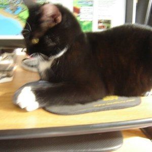 Meet your Posher, Kathy